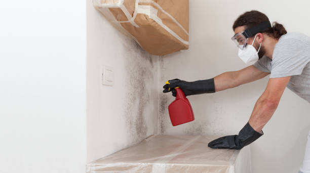 Professional Black Mold Remediation technician working in Spring Hope, NC